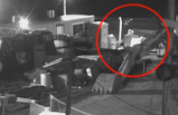 Video: así detuvieron a un hombre que robaba en una obra en construcción en Bernal