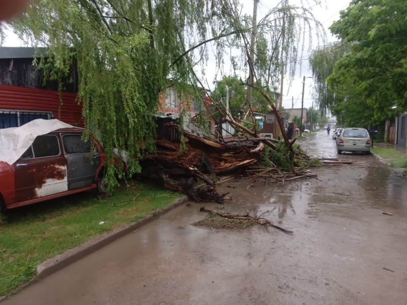Barrios inundados y árboles caídos en Quilmes por la tormenta: cómo sigue el clima el fin de semana